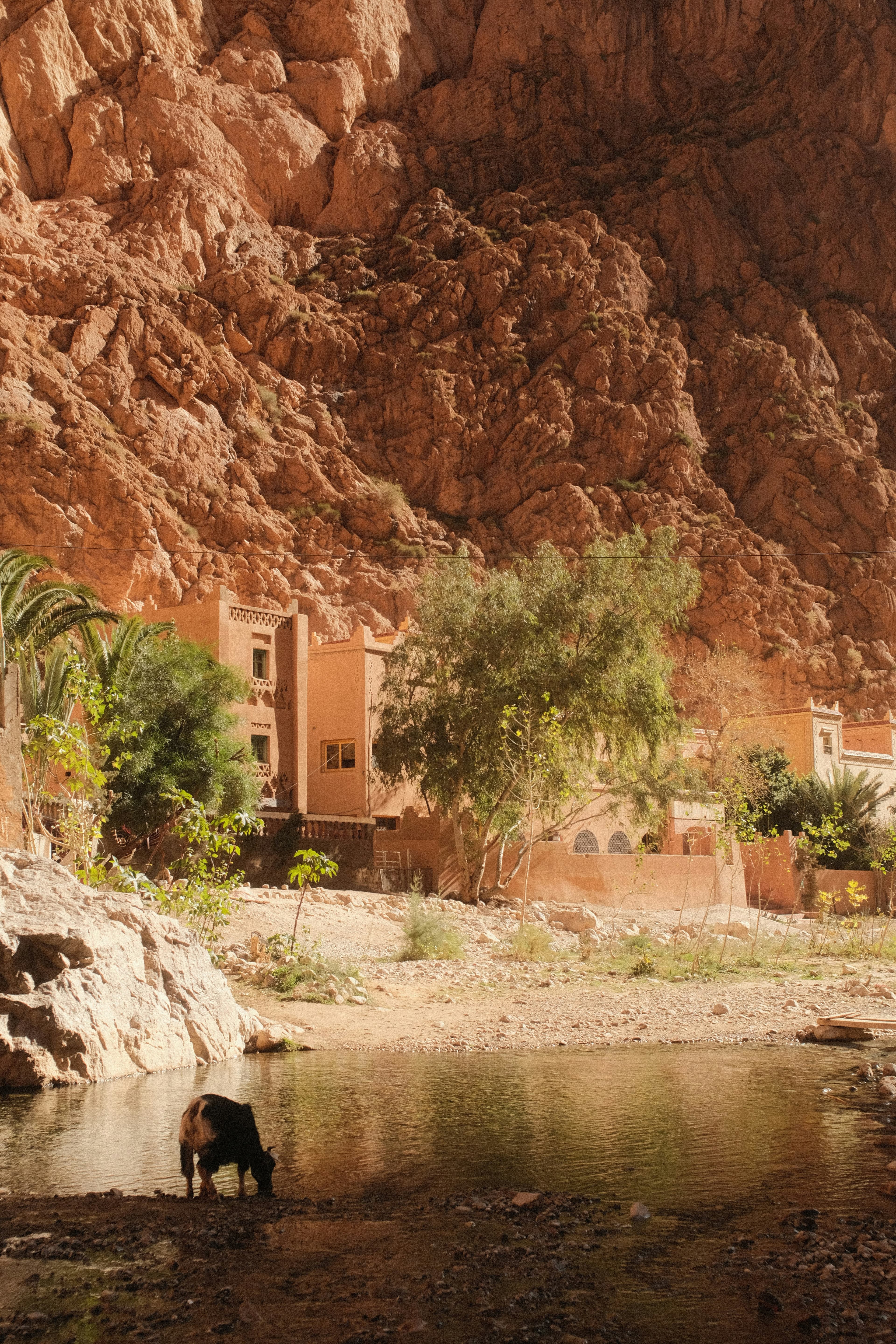 Atlas Mountains